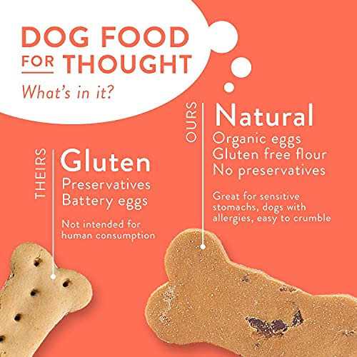 All-Natural Dog Treat Biscuits Multipack Flavor Variety Pack with Bacon X2356