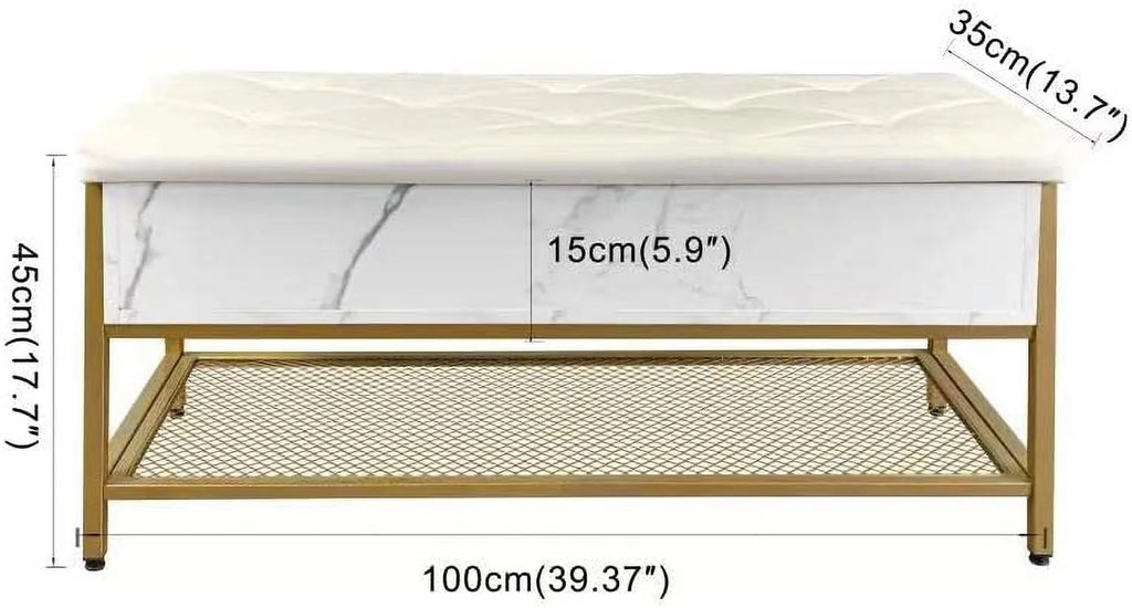 Shoe Storage Bench with Padded Seat and Metal Frame I1158
