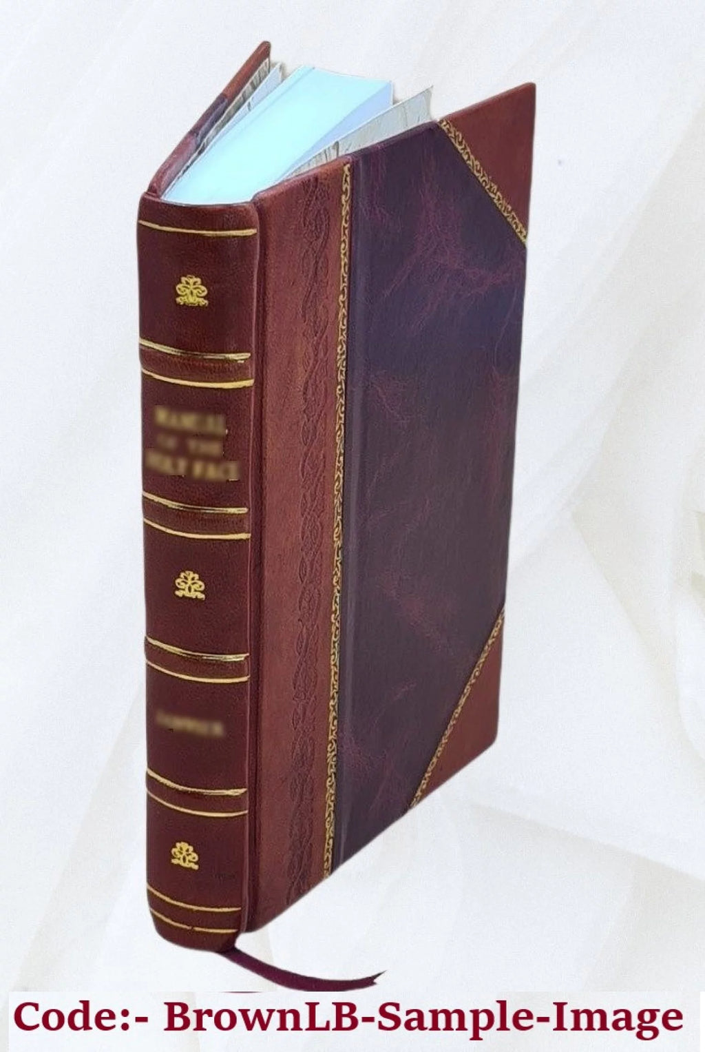 Leather Bound Book E8473