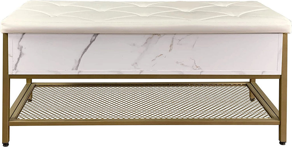 Shoe Storage Bench with Padded Seat and Metal Frame I1158